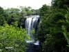Rainbow Falls, Kerikeri